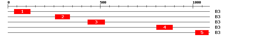 Signature Domain