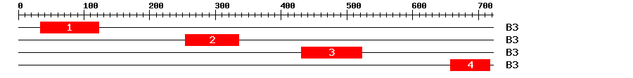 Signature Domain