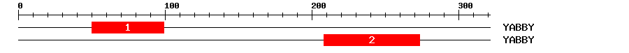 Signature Domain