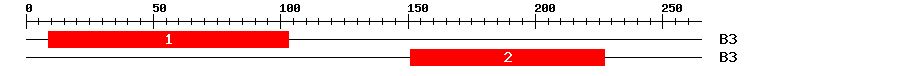 Signature Domain
