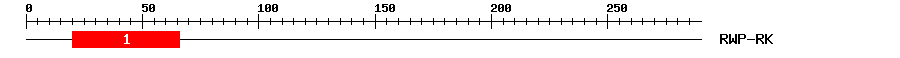 Signature Domain