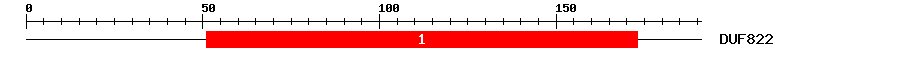 Signature Domain