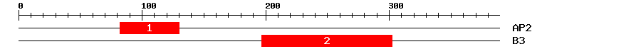 Signature Domain