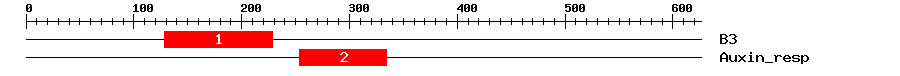 Signature Domain