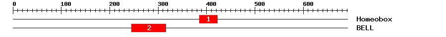 Signature Domain