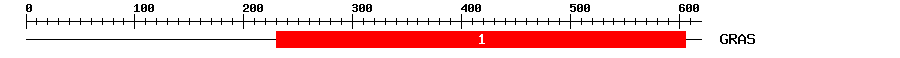 Signature Domain