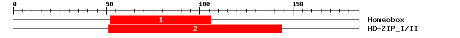 Signature Domain