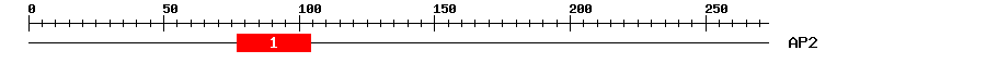 Signature Domain