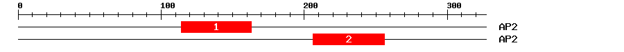 Signature Domain