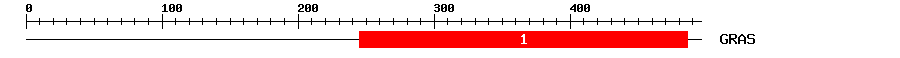 Signature Domain
