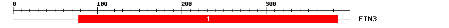 Signature Domain