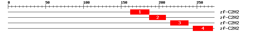Signature Domain