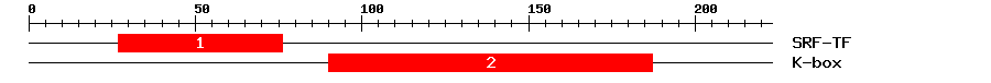 Signature Domain