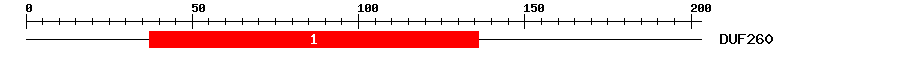 Signature Domain