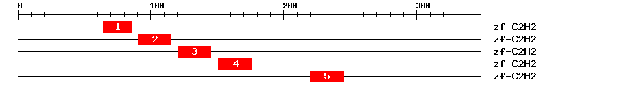 Signature Domain