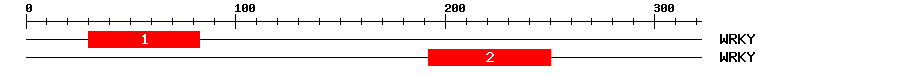 Signature Domain