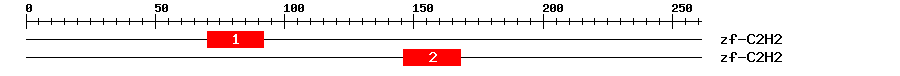 Signature Domain
