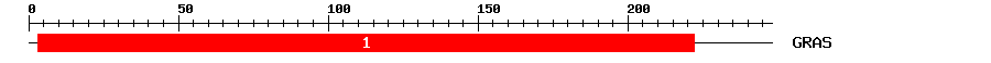 Signature Domain