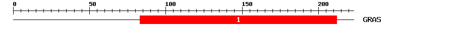 Signature Domain