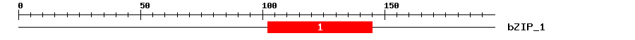 Signature Domain