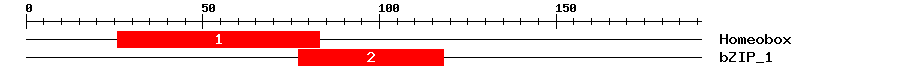 Signature Domain