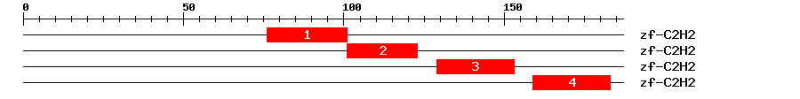 Signature Domain