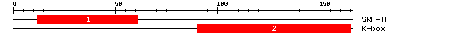 Signature Domain