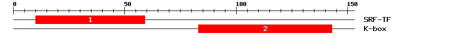Signature Domain