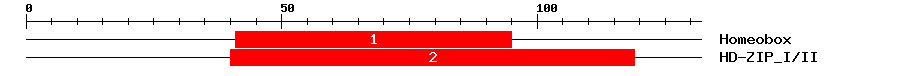 Signature Domain