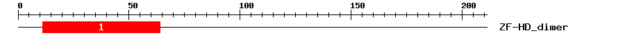 Signature Domain