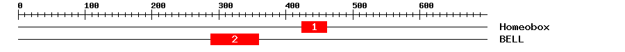 Signature Domain