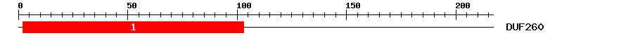 Signature Domain