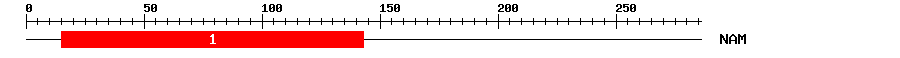 Signature Domain