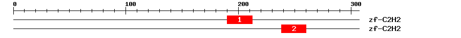 Signature Domain