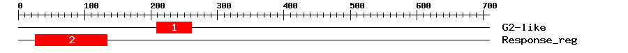 Signature Domain
