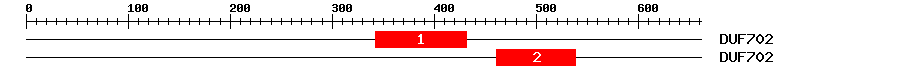 Signature Domain