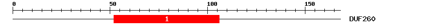 Signature Domain