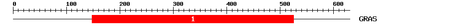Signature Domain