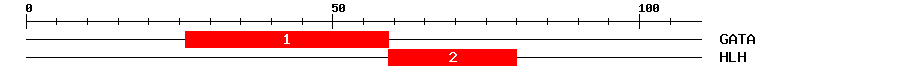 Signature Domain