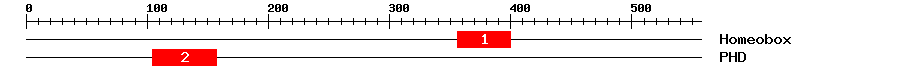 Signature Domain