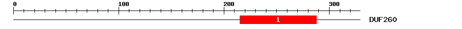 Signature Domain