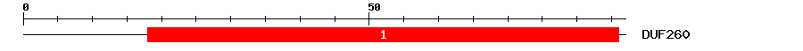 Signature Domain