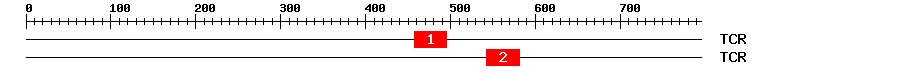 Signature Domain