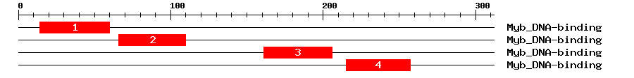 Signature Domain