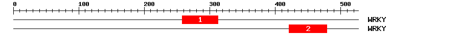 Signature Domain