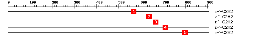Signature Domain