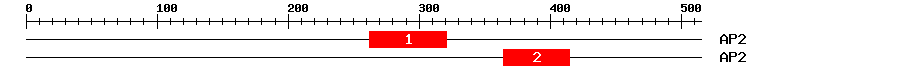 Signature Domain