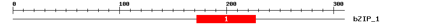 Signature Domain