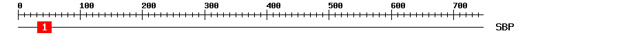 Signature Domain