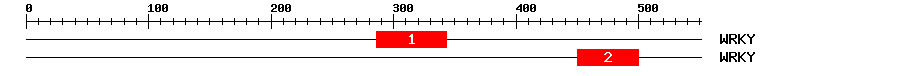 Signature Domain